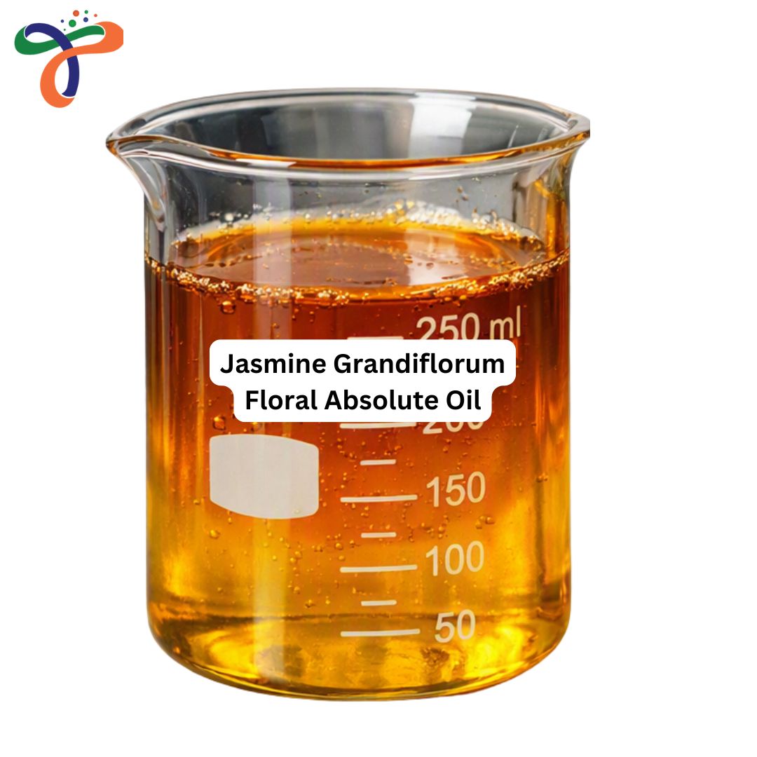 Jasmine Grandiflorum Floral Absolute Oil